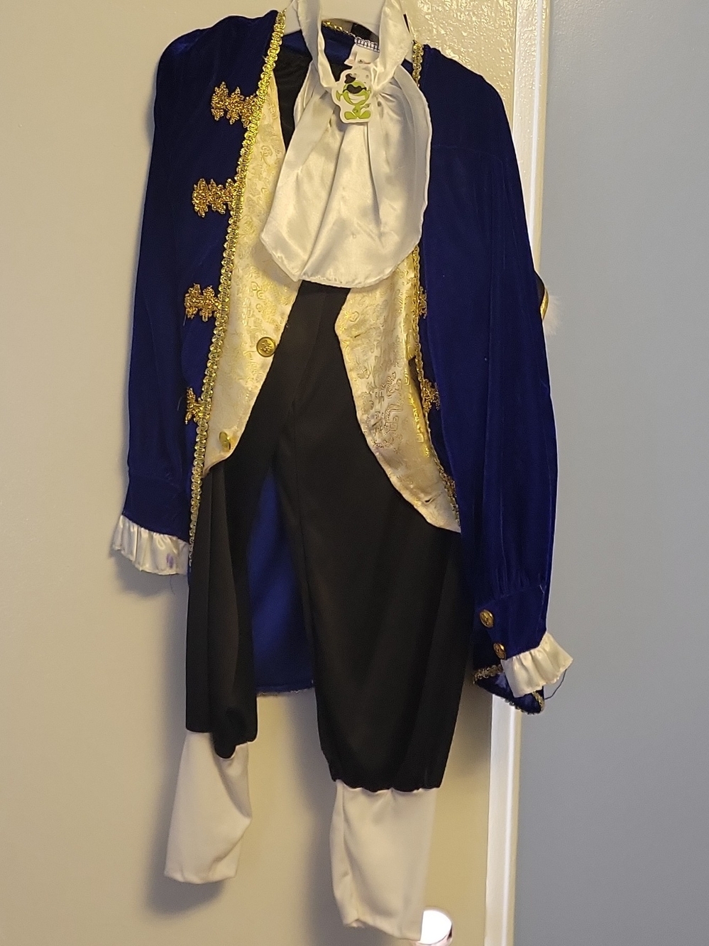 Men's Royal Blue Velvet Tailcoat with Gold Trim